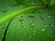 Water roads Wallpaer