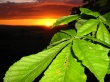 Vista sunset Wallpaer