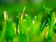 Natural Vista Wallpaer