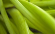 Green leafs Wallpaer