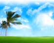 Dreams After Dreams Wallpaer