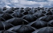 World of umbrellas Wallpaer
