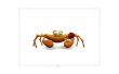 Little creature Wallpaer
