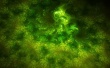 Green lights Wallpaer
