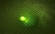 Green waves Wallpaer