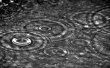 Rain drops Wallpaer