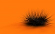 Orange chaos Wallpaer