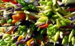 Bright peppers Wallpaer