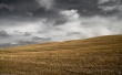 Windows Reverse Wallpaer