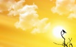 Sunset Bird Wallpaer