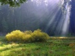 Ray Of Heaven Wallpaer