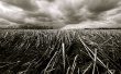 Dramatic Sky Wallpaer