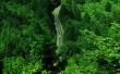 Green Ride Wallpaer