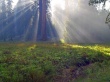 Ray Of Heaven II Wallpaer