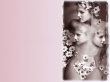 Pretty in Pink Wallpaer