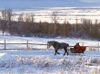 Winter Wonderland Wallpaer