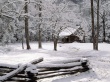 Carter Shields Cabin Wallpaer