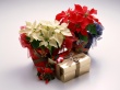 A Present Wallpaer