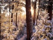 Oregon Winter Wallpaer