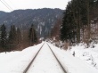 Winter Scene Wallpaer