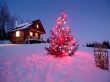 Ready For New Year Wallpaer
