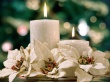 Light Of New Year Wallpaer