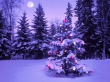Lonely Tree Wallpaer