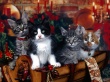 Pretty Christmas Gift Wallpaer
