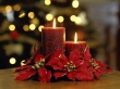 Elegant Candles Wallpaer