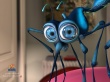 Big Eye Insect Wallpaer