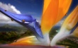 Bugs Paradise Wallpaer
