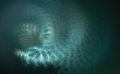 Circles Wallpaer
