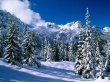 Quiet winter Wallpaer