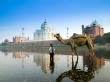 Yamuna River Wallpaer