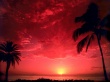 South Pacific Sunset Wallpaer