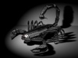 Chrome Scorpion Wallpaer