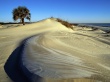 Cumberland Island Wallpaer