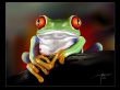 Red Eye Frog Wallpaer