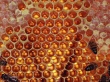 Honeycomb Wallpaer
