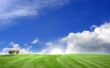 Dimage Bliss Wallpaer