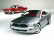 Mustangs Wallpaer
