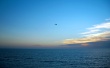 Alone in the Sky Wallpaer