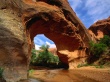 Coyote Natural Bridge Wallpaer