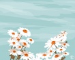 Dasies Wallpaer