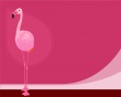 Flamingo Color Wallpaer