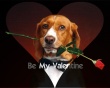 Be My Valentine Wallpaer