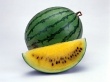 Juicy Melon Wallpaer