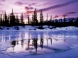 Purple Twilight Wallpaer