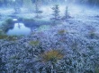 FrozenGrass Wallpaer