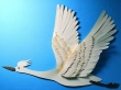 Freedom Bird Wallpaer